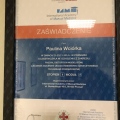 Powiększ obraz: certificate 4