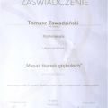 Powiększ obraz: certificate 14