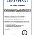Powiększ obraz: certificate 1