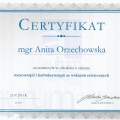Powiększ obraz: certificate 12