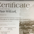 Powiększ obraz: certificate 8