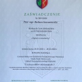Powiększ obraz: certificate 9