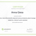 Powiększ obraz: certificate 10
