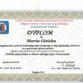 Powiększ obraz: certificate 16