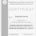 Powiększ obraz: certificate 8