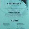 Powiększ obraz: certificate 37