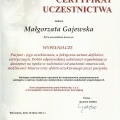 Powiększ obraz: certificate 15