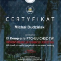 Powiększ obraz: certificate 12
