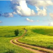 Psychoterapia Wróblewscy