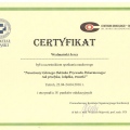 Powiększ obraz: certificate 5