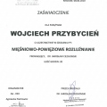 Powiększ obraz: certificate 11