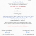 Powiększ obraz: certificate 25