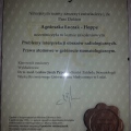 Powiększ obraz: certificate 3