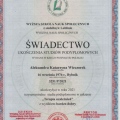 Powiększ obraz: certificate 2