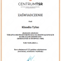 Powiększ obraz: certificate 5