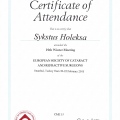 Powiększ obraz: certificate 8