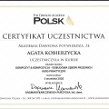 Powiększ obraz: certificate 1
