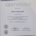 Powiększ obraz: certificate 13