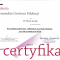 Powiększ obraz: certificate 3