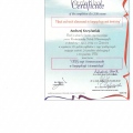 Powiększ obraz: certificate 13