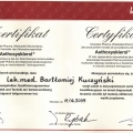 Powiększ obraz: certificate 11