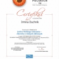 Powiększ obraz: certificate 10