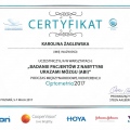 Powiększ obraz: certificate 10