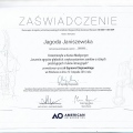 Powiększ obraz: certificate 1
