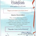 Powiększ obraz: certificate 14