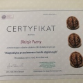 Powiększ obraz: certificate 8