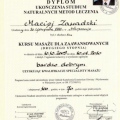 Powiększ obraz: certificate 4