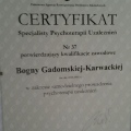 Powiększ obraz: certificate 3