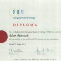 Powiększ obraz: certificate 3