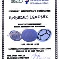 Powiększ obraz: certificate 3