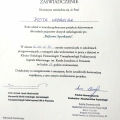 Powiększ obraz: certificate 19