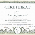 Powiększ obraz: certificate 4