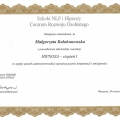 Powiększ obraz: certificate 8