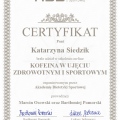 Powiększ obraz: certificate 47