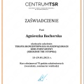 Powiększ obraz: certificate 1