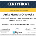 Powiększ obraz: certificate 35