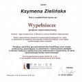 Powiększ obraz: certificate 1