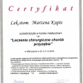 Powiększ obraz: certificate 7