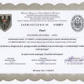 Powiększ obraz: certificate 31