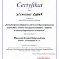Powiększ obraz: certificate 2
