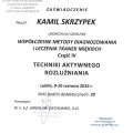 Powiększ obraz: certificate 9