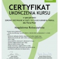 Powiększ obraz: certificate 13