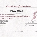 Powiększ obraz: certificate 15