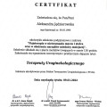Powiększ obraz: certificate 4