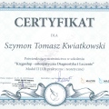 Powiększ obraz: certificate 8