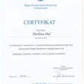 Powiększ obraz: certificate 7